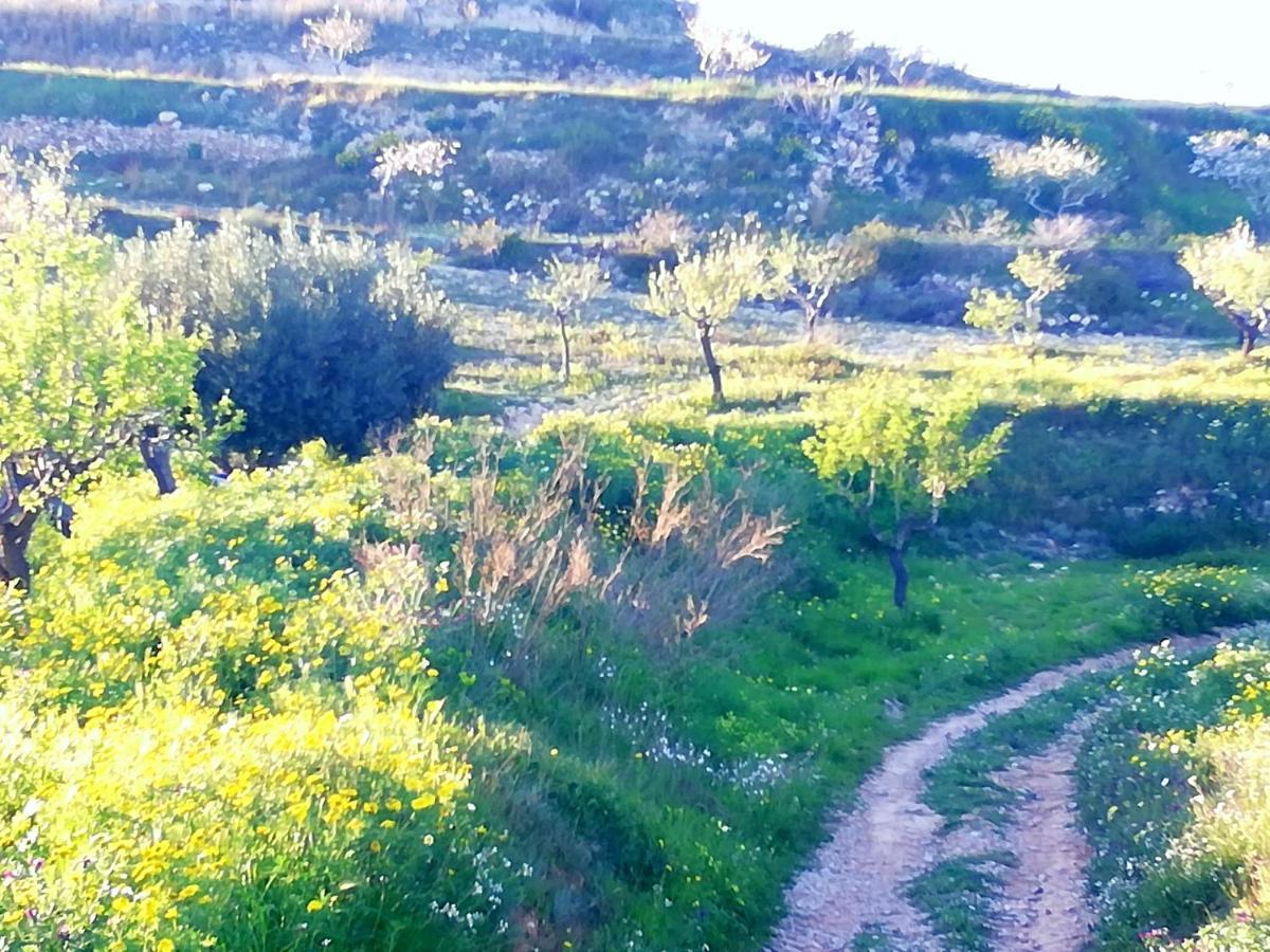 דירות קרטחנה La Vie En Rose מראה חיצוני תמונה